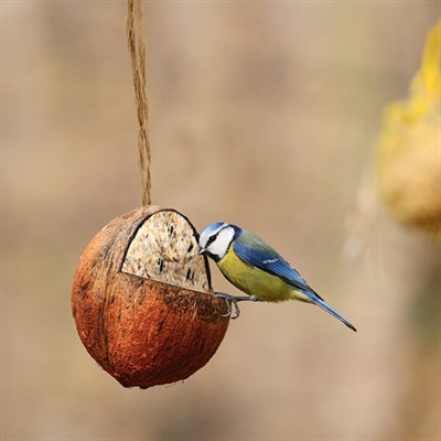 Best for birds Kokosnoot gevuld met vet