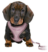 Trixie Junior Soft Harness with Leash Lilac