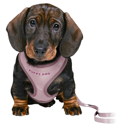 Trixie Junior Puppy Eigen Soft s Riem Lila