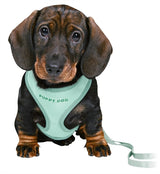 Trixie Junior Puppy Economes Soft s Riem Minntgroen