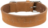 Trixie collar dog rustic fat leather heartbeat brown