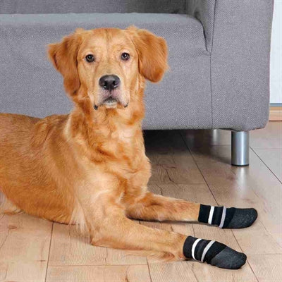 Trixie Dog Socks Anti-Slip med gummilag rundt omkring sort