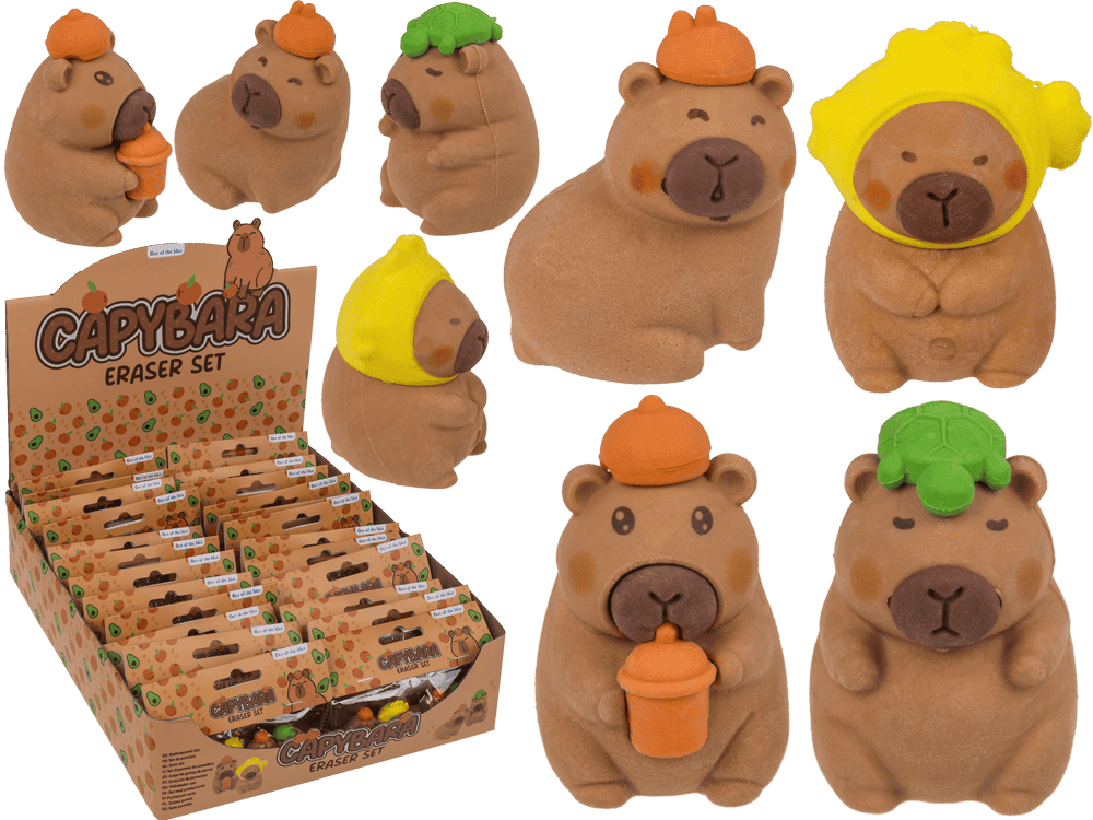 Dsp erasers capybara. 4 Achsen à 24 Stk