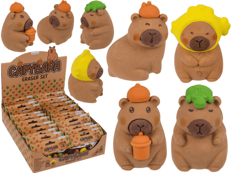 DSP-Radiergummis Capybara. 4 Achsen 24 Stück in