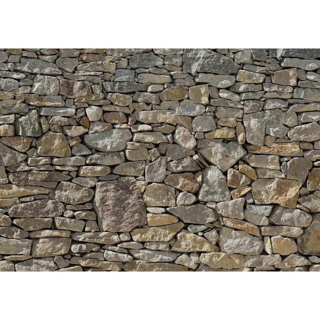 Komar Komar Photo Wallpaper Stone Wall 368X254 CM 8-727