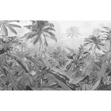 Komar Komar Photo Wallpaper Amazonia in bianco e nero 400x250 cm