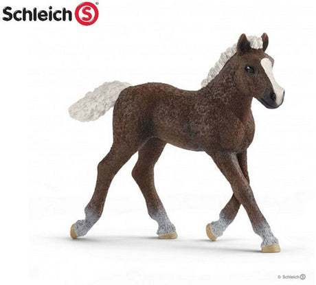Schleich Horse Club Schwarzwald Föhn 17077