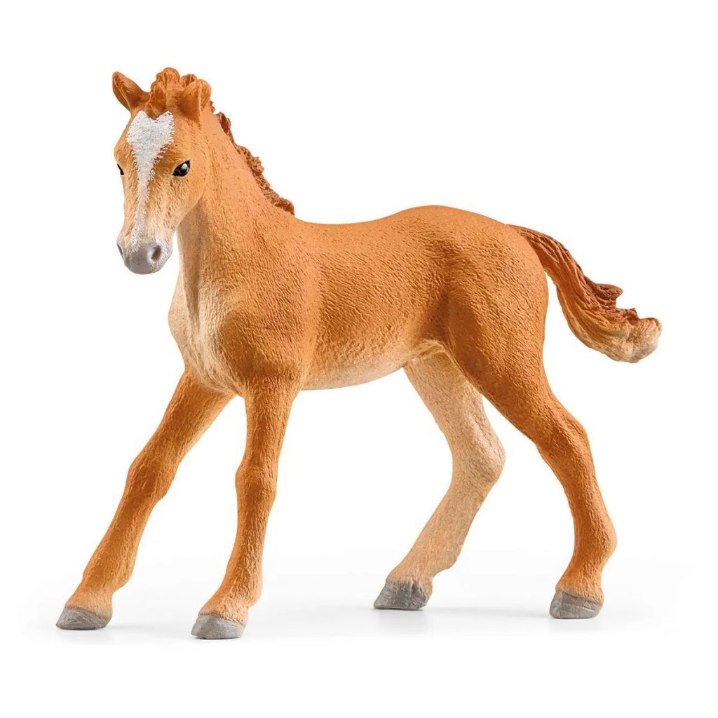 Schleich HORSE CLUB Manege met Accessoires 42567