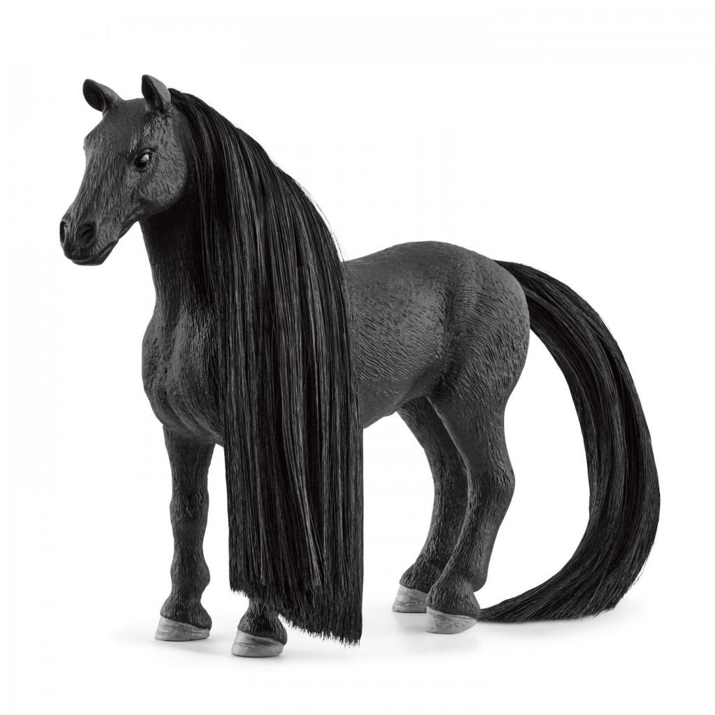 Schleich HORSE CLUB Beauty Horse Criollo Definitivo Merrie 42581