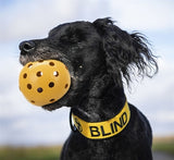 Trixie Gatenbal Natural Rubber avec cloche pour chien aveugle ou handicapé