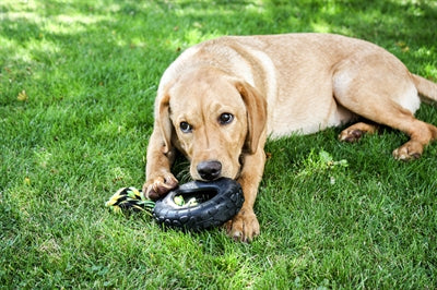 Happy Pet Grrrelli Tire Tugger Black Green