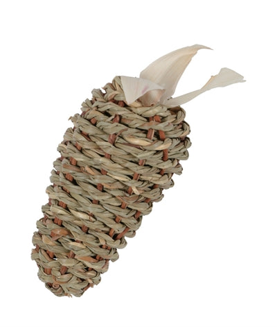 Zolux ehop root seagrass