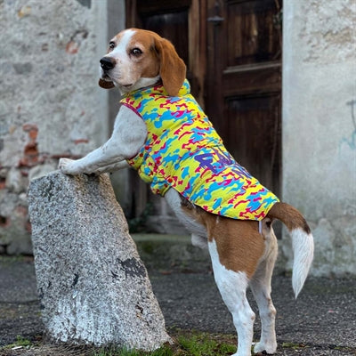 Croci Dog Jacket Fake News Yellow Blue Fuchsia