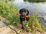 Chuckit Ultra fetch stick