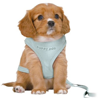 Trixie Dog Eigen Junior Welpe Softhire mit Riem Mintgroen