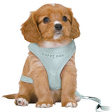 Trixie Dog eigen junior cucciolo softthire con Riem Mintgroen