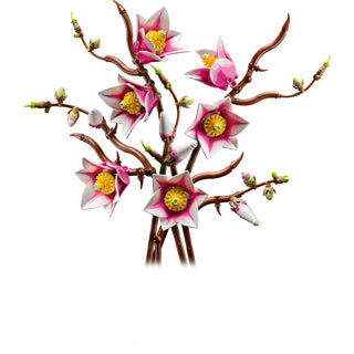 Lego Botanicals 11510 Magnolia Twigs