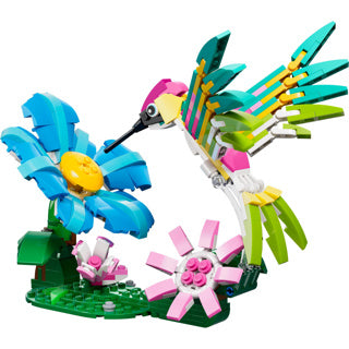 Lego creator 31384 wild animals: colorful hummingbird