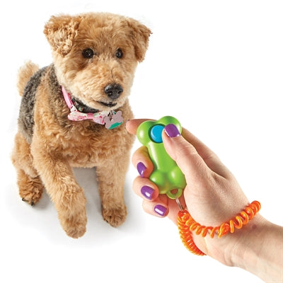 Brightkins Smarty Pooch Training Bone