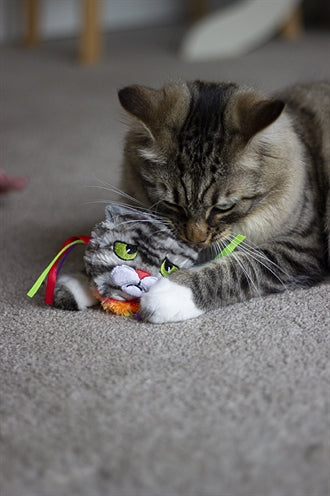 Rosewood Moody Moggy Rainbow Gray Toys