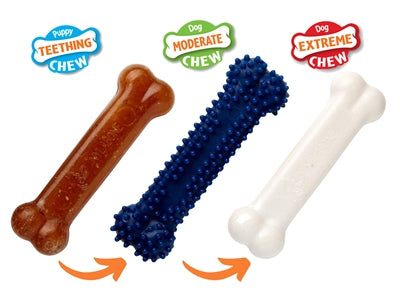 Nylabone Puppy Chew Chew Puppy Starter Kit Chicken