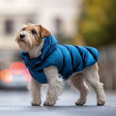 Croci dog coat velveteen lined blue