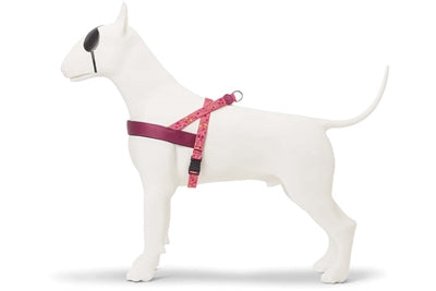 MORSO NORWEGIAN DOG plus dur recyclé rose penser rose