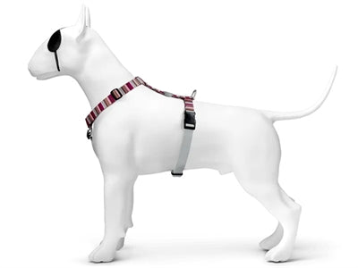 MOSO Dog Haren H-Her riciclato Skyline Rosso Pink