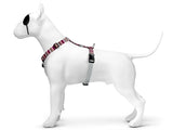 MOSO Dog Haren H-Her riciclato Skyline Rosso Pink