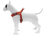 Morso Mini Dog Harder Adjustable Recycled Urban Lizard Red