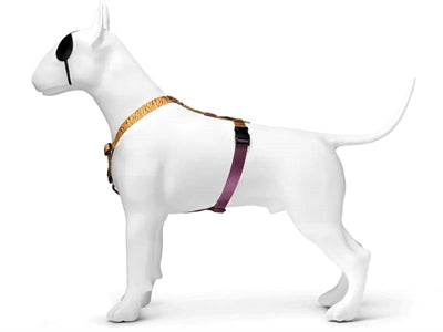 Morso Dog Harness H-Her återvunnen djungeltrumma Oranje