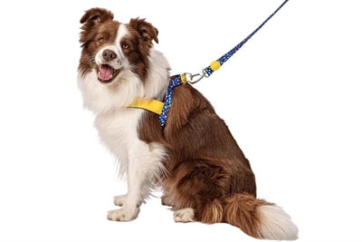 MORSO NORWEGIAN DOG CONSTER RECYLLED COULEUR PROPLE