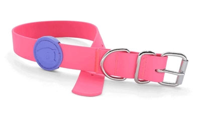 Morso collar dog Waterproof Recycled Passion Pink Pink