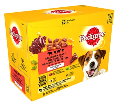 Pedigree Multipeack Iesse Saks Favoritten am Gelei