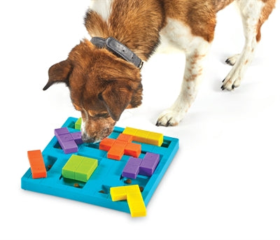 Brighkins Bark Brain Game Treat Puzzle