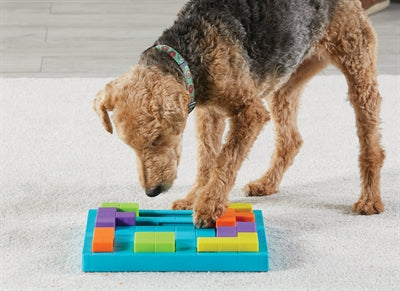 Brightkins Bark Brain Game Game Treat Puzzle