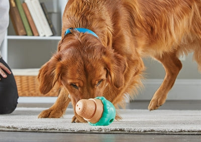 Brightkins Ice Cream Treat -Spender