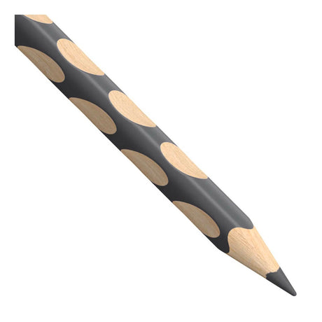 Crayon de couleur Stabilo easycolors pour gaucher - gris