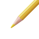 Stabilo 12 aquacolor colored pencils in metal box