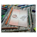 Abi stlo greencolors arty colored pencils case of 12 pieces