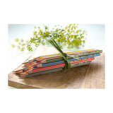 Abi stlo greencolors arty colored pencils case of 12 pieces