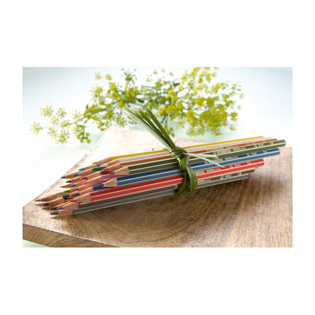 Abi Stlo Greencolors Arty Buntstifte, Etui mit 12 Stück