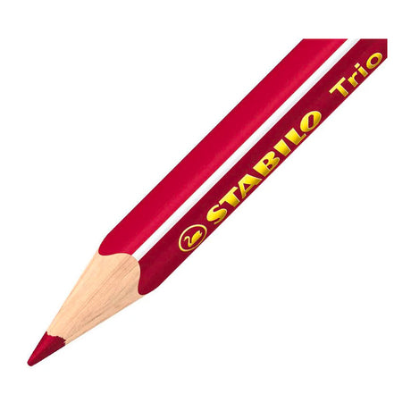 Stabilo trio thick short ergonomic colouring pencils - 12pcs.