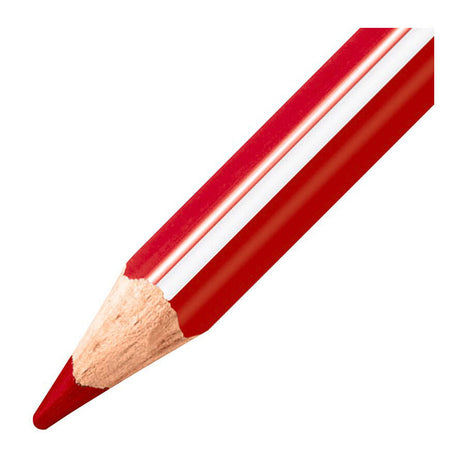 Stabilo Trio Thick school pack colouring pencils - 96 pcs.