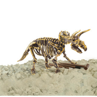 Dinobase dino 3d triceratops skeletas