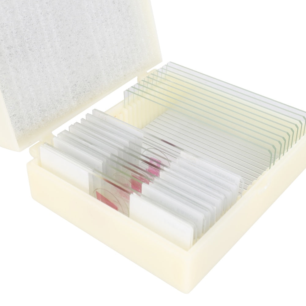 Konus Prepared Set Zoology 2 (25 Pieces)