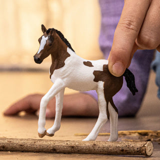 Schleich | 5 stycken