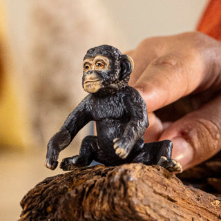 Schleich 14884 mladič šimpanza | 5 kosov