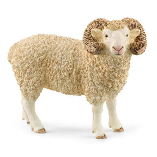 Schleich 13937 reithe | 5 phíosa