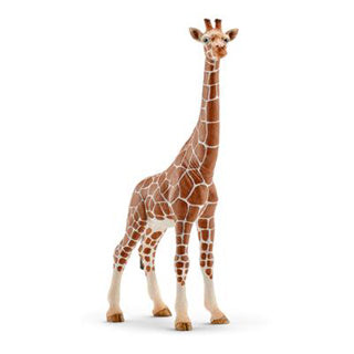 Schleich | 5 kosov